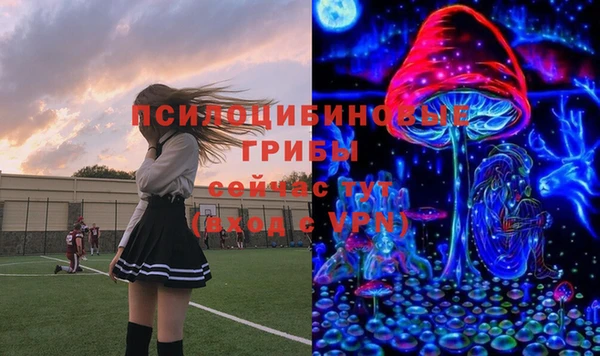 молекула духа Вязники