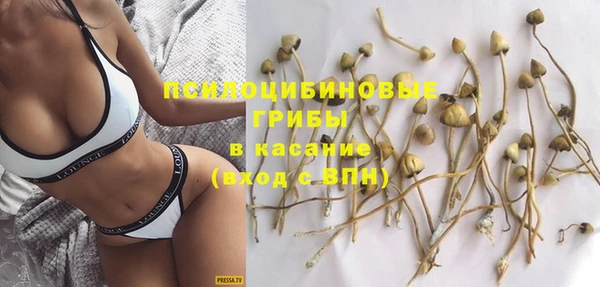 молекула духа Вязники