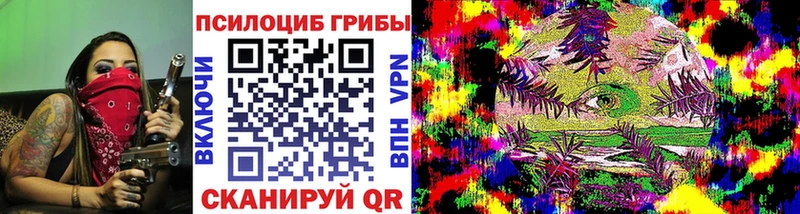 гидра ТОР  Задонск  darknet наркотические препараты  Псилоцибиновые грибы прущие грибы 